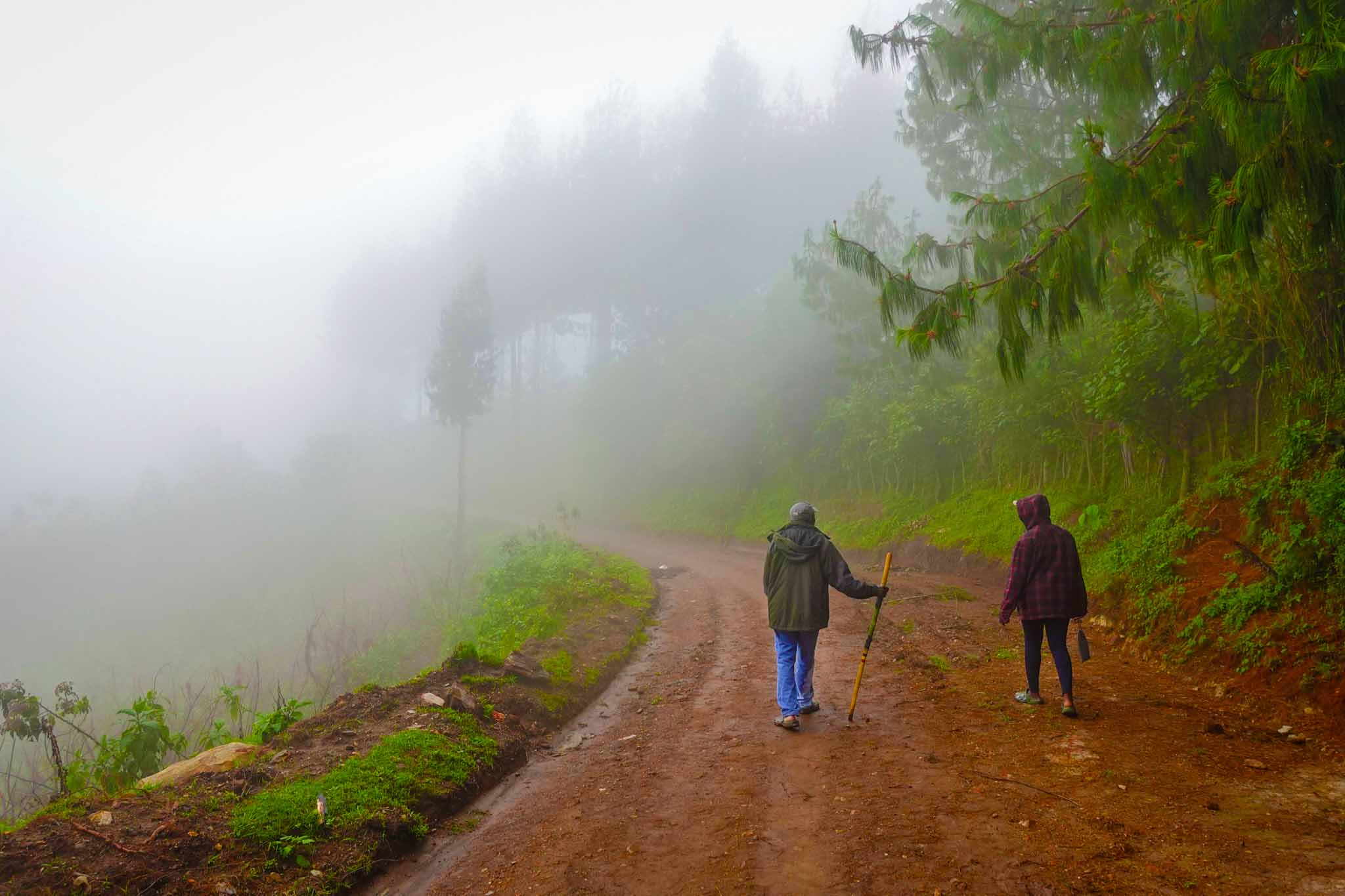 Village Walk in Ruhija Sector