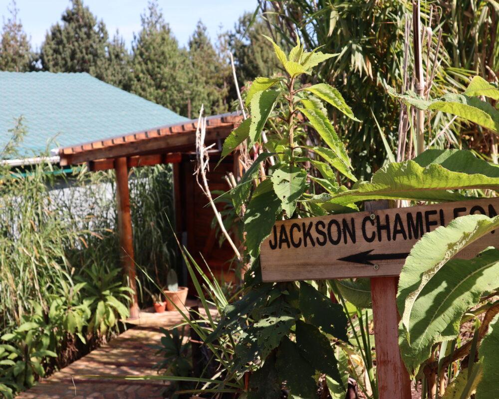 Outside View of Kiho Gorilla Safari Lodge