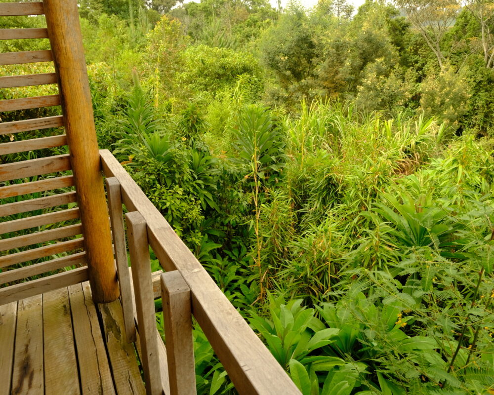 Outside View of Kiho Gorilla Safari Lodge